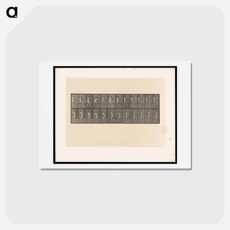 アートポストカード-Cricket Swing
 - エドワード マイブリッジ Postcard.