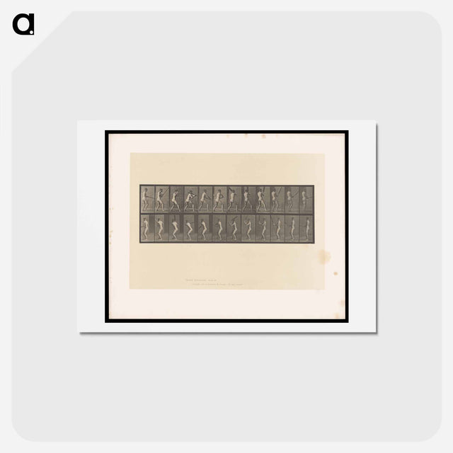 アートポストカード-Cricket Swing
 - エドワード マイブリッジ Postcard.