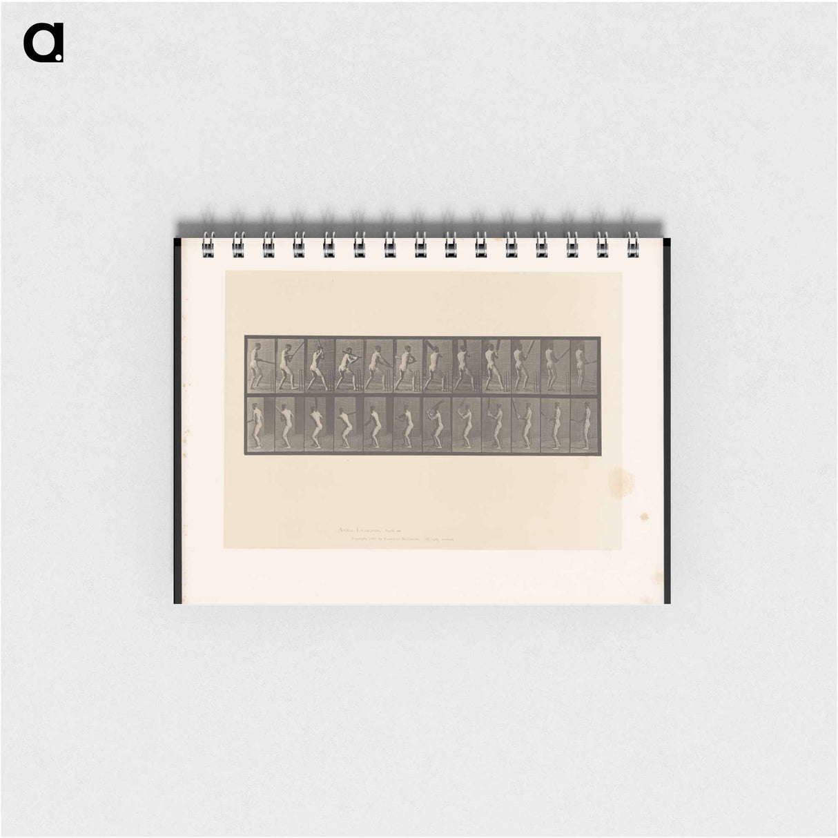 アートメモ帳-Cricket Swing
 - エドワード マイブリッジ Memo.