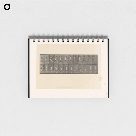 アートメモ帳-Cricket Swing
 - エドワード マイブリッジ Memo.