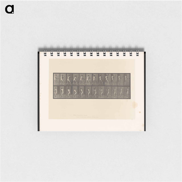 アートメモ帳-Cricket Swing
 - エドワード マイブリッジ Memo.