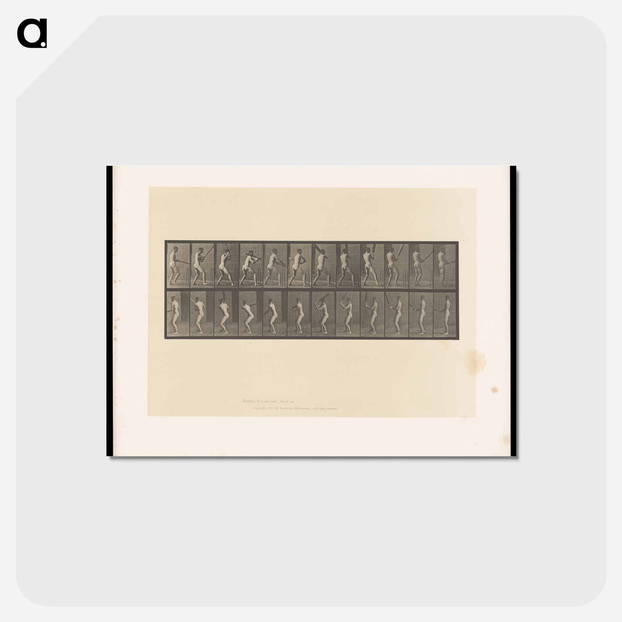 アートポストカード-Cricket Swing
 - エドワード マイブリッジ Postcard.