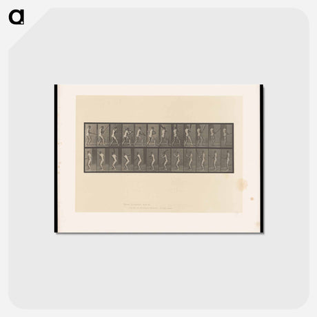 アートポストカード-Cricket Swing
 - エドワード マイブリッジ Postcard.