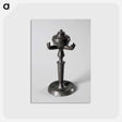 アートポストカード-Fluid Lamp
 - バーンズ・コレクション Postcard.