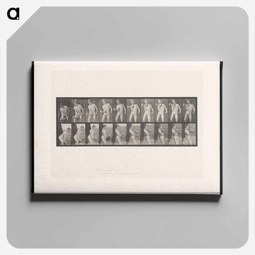 Man Lifting Dumbbell
 - エドワード マイブリッジ Canvas.