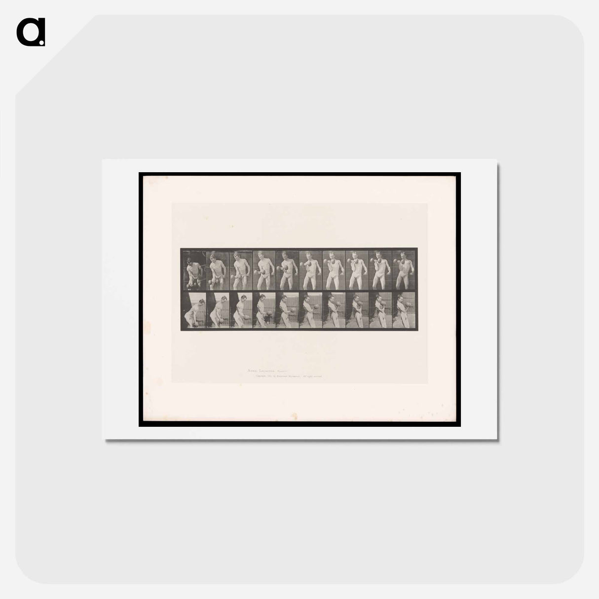 アートポストカード-Man Lifting Dumbbell
 - エドワード マイブリッジ Postcard.