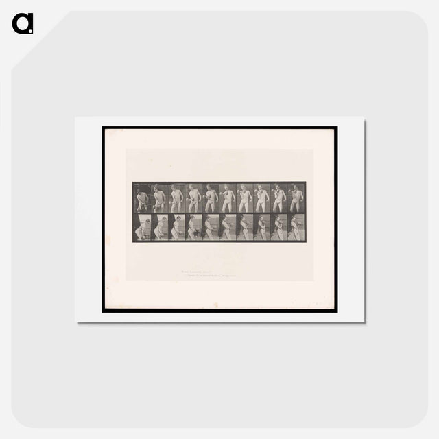 アートポストカード-Man Lifting Dumbbell
 - エドワード マイブリッジ Postcard.