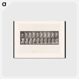 アートポストカード-Man Lifting Dumbbell
 - エドワード マイブリッジ Postcard.