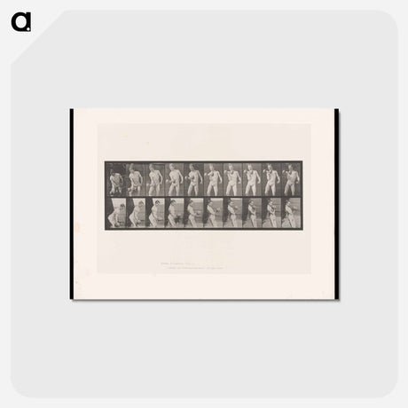 アートポストカード-Man Lifting Dumbbell
 - エドワード マイブリッジ Postcard.