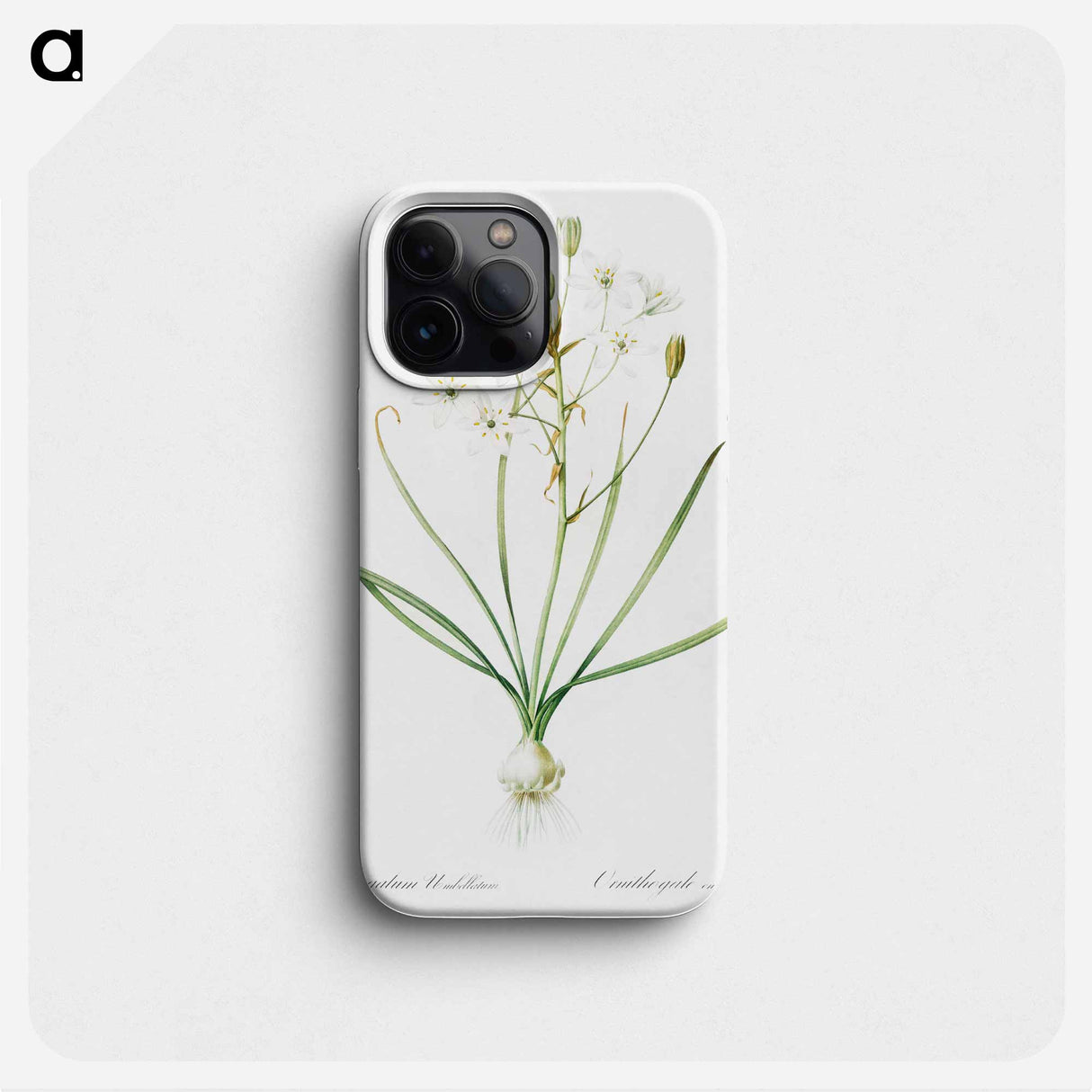 Ornithogalum umbellatum illustration - Pierre Joseph Redouté Phone Case.