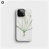 Ornithogalum umbellatum illustration - Pierre Joseph Redouté Phone Case.