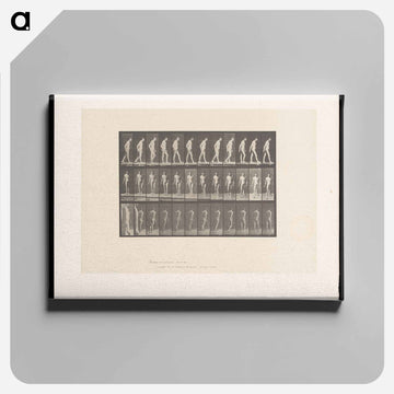 Man Walking with Cane
 - エドワード マイブリッジ Canvas.