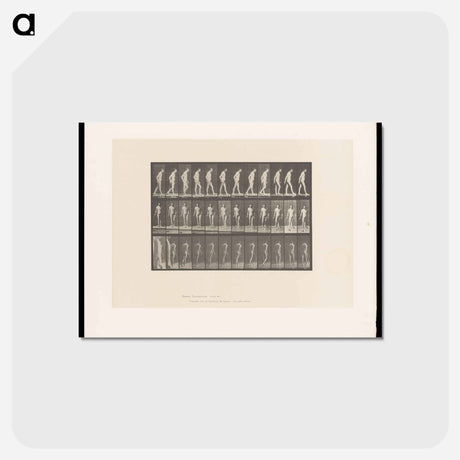 アートポストカード-Man Walking with Cane
 - エドワード マイブリッジ Postcard.