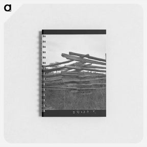 アートメモ帳-Untitled photo - ドロテア ラング Memo.