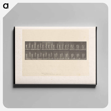 Naked Woman with Flowers
 - エドワード マイブリッジ Canvas.