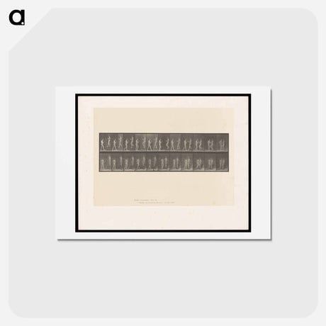 アートポストカード-Naked Woman with Flowers
 - エドワード マイブリッジ Postcard.