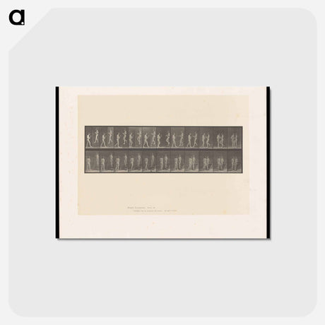 アートポストカード-Naked Woman with Flowers
 - エドワード マイブリッジ Postcard.