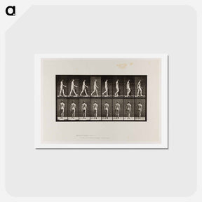 アートポストカード-Naked Man Walking
 - エドワード マイブリッジ Postcard.