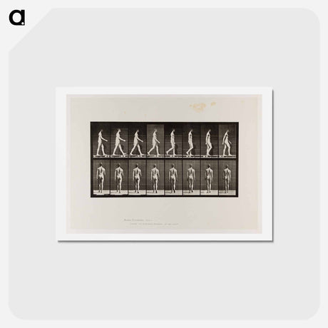 アートポストカード-Naked Man Walking
 - エドワード マイブリッジ Postcard.