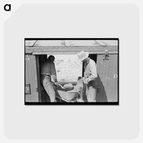 アートポストカード-Loading Gold Ore, Ouray
 - ラッセル リー Postcard.
