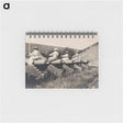アートメモ帳-Five Women on Cannons
 - セントルイス美術館 Memo.