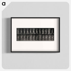 アートポスター-Bearing the Load
 - エドワード マイブリッジ Poster.