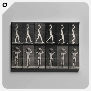 Bearing the Load
 - エドワード マイブリッジ Canvas.