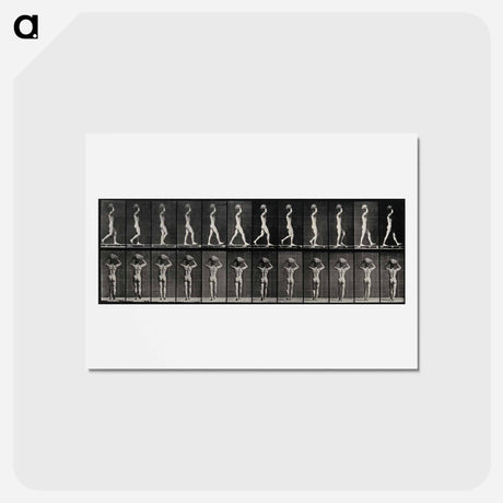 アートポストカード-Bearing the Load
 - エドワード マイブリッジ Postcard.