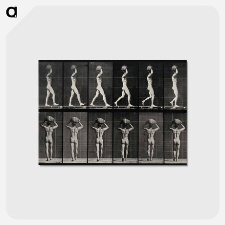 アートポストカード-Bearing the Load
 - エドワード マイブリッジ Postcard.