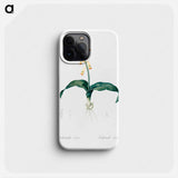 Lachenalia tricolor - Pierre Joseph Redouté Phone Case.