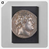 アートパネル-Head of Philetairos
 - セントルイス美術館 Canvas.