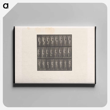 The Burdened Climber
 - エドワード マイブリッジ Canvas.