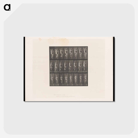 アートポストカード-The Burdened Climber
 - エドワード マイブリッジ Postcard.