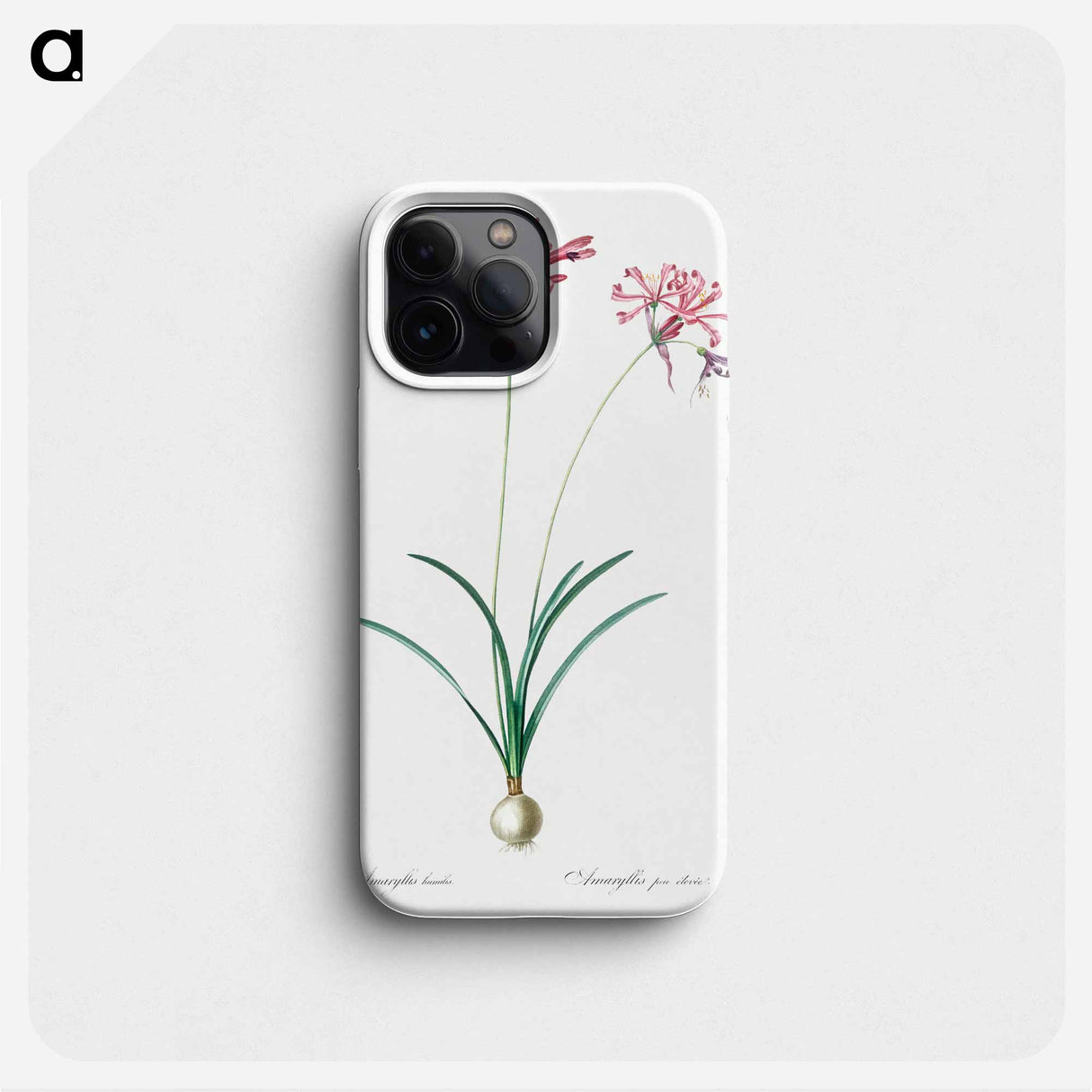 Nerine illustration from Les liliacées - Pierre Joseph Redouté Phone Case.