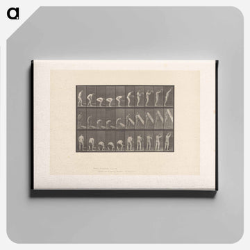 Man Lifting a Trunk
 - エドワード マイブリッジ Canvas.
