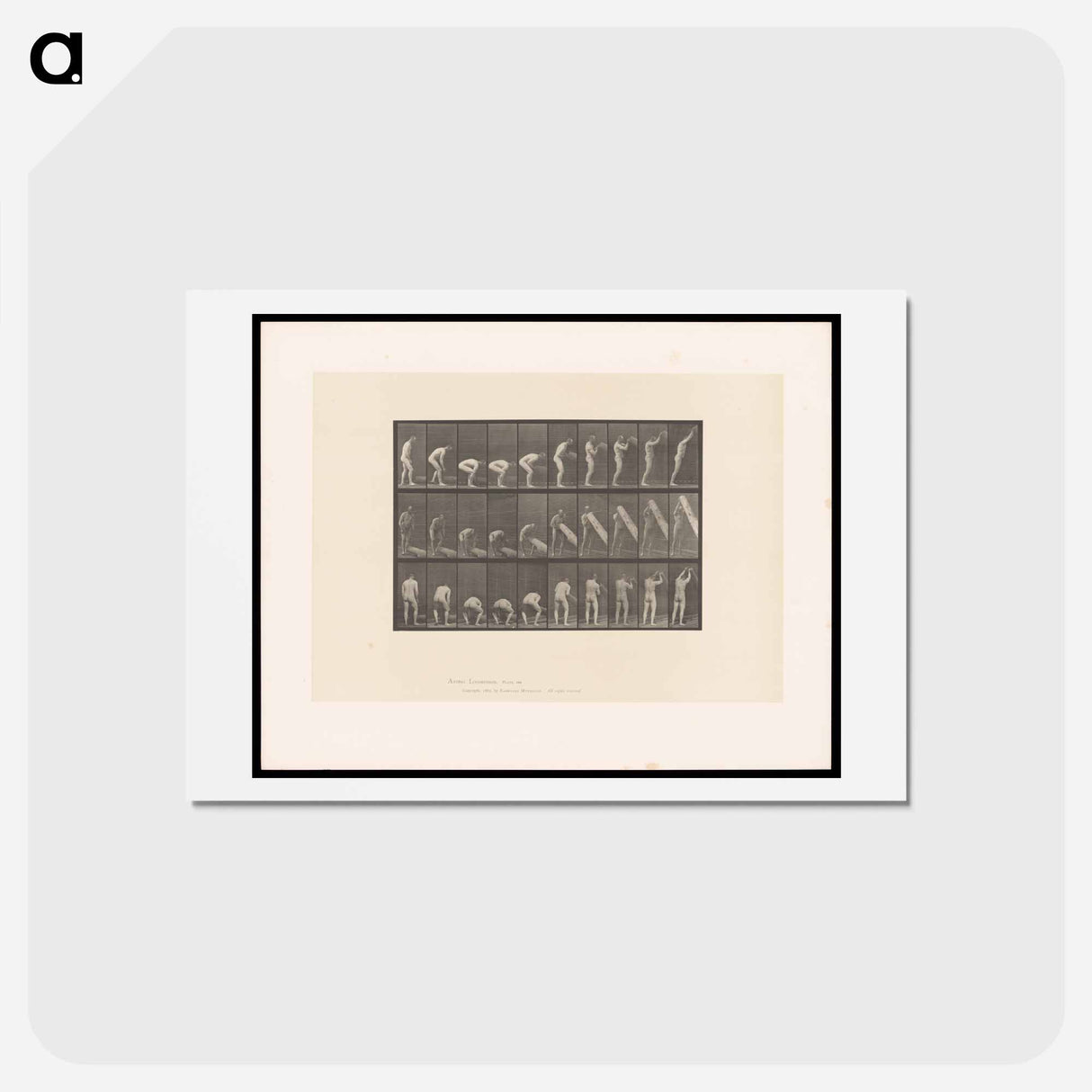 アートポストカード-Man Lifting a Trunk
 - エドワード マイブリッジ Postcard.