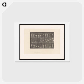 アートポストカード-Man Lifting a Trunk
 - エドワード マイブリッジ Postcard.