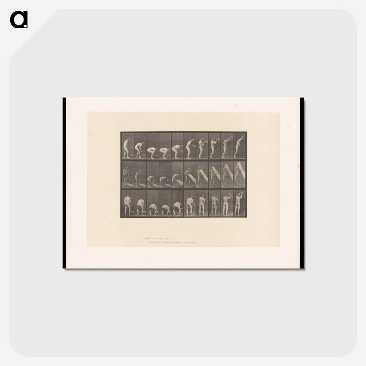 アートポストカード-Man Lifting a Trunk
 - エドワード マイブリッジ Postcard.