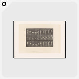 アートポストカード-Man Lifting a Trunk
 - エドワード マイブリッジ Postcard.