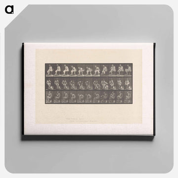 Woman Drying Her Foot
 - エドワード マイブリッジ Canvas.