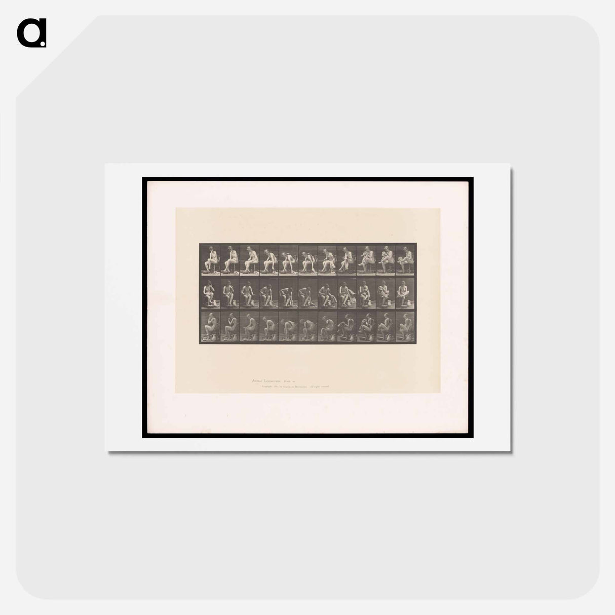アートポストカード-Woman Drying Her Foot
 - エドワード マイブリッジ Postcard.