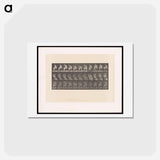 アートポストカード-Woman Drying Her Foot
 - エドワード マイブリッジ Postcard.