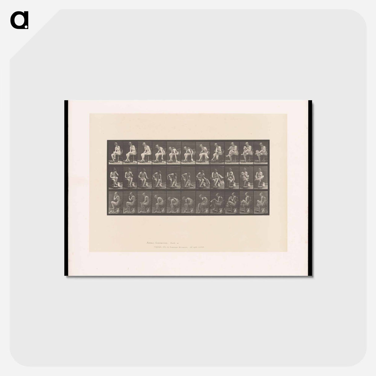 アートポストカード-Woman Drying Her Foot
 - エドワード マイブリッジ Postcard.