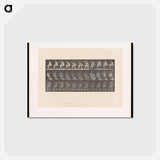 アートポストカード-Woman Drying Her Foot
 - エドワード マイブリッジ Postcard.