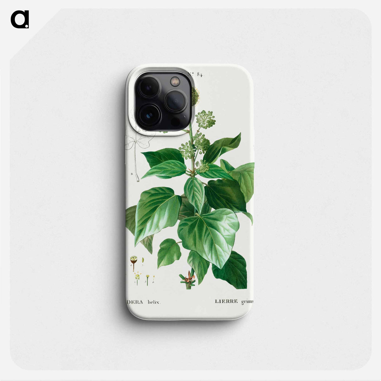 Common ivy - Pierre Joseph Redouté Phone Case.