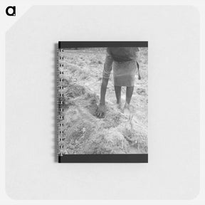 アートメモ帳-Thirteen year old daughter of sharecropper planting sweet potatoes - ドロテア ラング Memo.