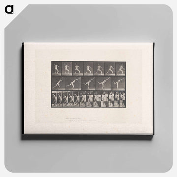 The Thrower
 - エドワード マイブリッジ Canvas.