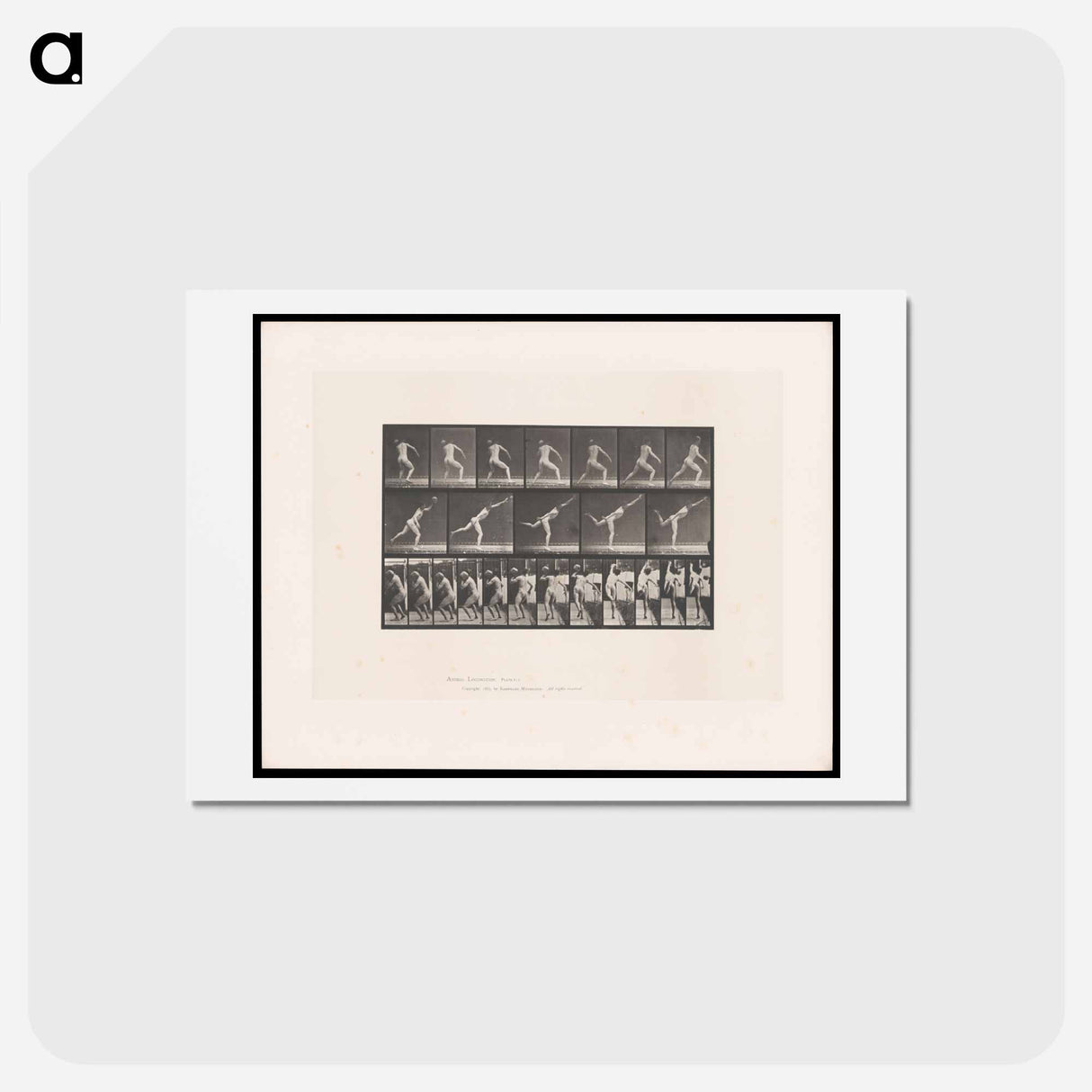 アートポストカード-The Thrower
 - エドワード マイブリッジ Postcard.
