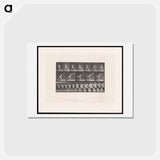 アートポストカード-The Thrower
 - エドワード マイブリッジ Postcard.