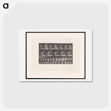 アートポストカード-The Thrower
 - エドワード マイブリッジ Postcard.